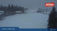 Archiv Foto Webcam Scheffau am Wilden Kaiser - Brandstadl 00:00