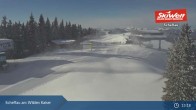 Archiv Foto Webcam Scheffau am Wilden Kaiser - Brandstadl 12:00