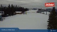 Archiv Foto Webcam Scheffau am Wilden Kaiser - Brandstadl 08:00