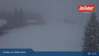 Archiv Foto Webcam Scheffau am Wilden Kaiser - Brandstadl 14:00