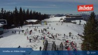 Archiv Foto Webcam Scheffau am Wilden Kaiser - Brandstadl 12:00