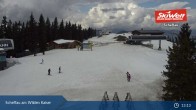 Archiv Foto Webcam Scheffau am Wilden Kaiser - Brandstadl 12:00