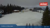 Archiv Foto Webcam Scheffau am Wilden Kaiser - Brandstadl 16:00