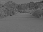 Archiv Foto Webcam Skischule Lenggries: Draxlhang 03:00