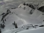 Archived image Webcam Stiealm alp at Idealhang 13:00