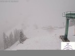 Archiv Foto Webcam Brauneck: Stie-Alm am Idealhang 07:00