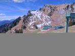 Archiv Foto Webcam Brauneck: Stie-Alm am Idealhang 11:00