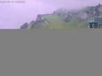 Archived image Webcam Stiealm alp at Idealhang 09:00
