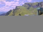 Archiv Foto Webcam Brauneck: Stie-Alm am Idealhang 08:00