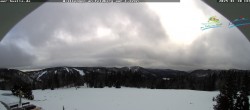 Archived image Webcam "Todtnau cottage" 13:00