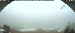Archived image Webcam "Todtnau cottage" 01:00