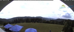 Archiv Foto Webcam Todtnauer Hütte 11:00