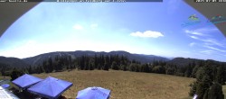 Archiv Foto Webcam Todtnauer Hütte 11:00