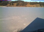 Archived image Webcam Lake &#34;Großer Alpsee&#34; near Immenstadt 13:00