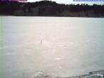 Archived image Webcam Lake &#34;Großer Alpsee&#34; near Immenstadt 11:00