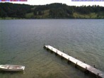 Archiv Foto Webcam Großer Alpsee (Immenstadt) 07:00
