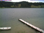 Archiv Foto Webcam Großer Alpsee (Immenstadt) 11:00