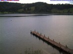 Archived image Webcam Lake &#34;Großer Alpsee&#34; near Immenstadt 13:00