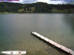 Archiv Foto Webcam Großer Alpsee (Immenstadt) 12:00
