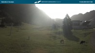 Archiv Foto Webcam Oberstdorf Nebelhorn: Seealpe 07:00