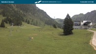 Archiv Foto Webcam Oberstdorf Nebelhorn: Seealpe 11:00