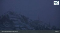 Archived image Webcam Top station Waldmendingerhorn 04:00