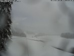 Archived image Webcam Top station "Imbergbahn" 11:00