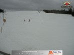 Archiv Foto Webcam Skigebiet Thalerhöhe 08:00