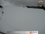 Archiv Foto Webcam Skigebiet Thalerhöhe 10:00