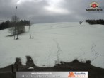 Archiv Foto Webcam Skigebiet Thalerhöhe 09:00