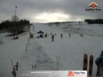 Archiv Foto Webcam Skigebiet Thalerhöhe 11:00