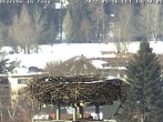 Archived image Webcam Isny – Stork&#39;s nest 08:00