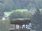 Archived image Webcam Isny – Stork&#39;s nest 02:00