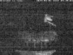 Archived image Webcam Isny – Stork&#39;s nest 03:00