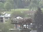 Archived image Webcam Isny – Stork&#39;s nest 13:00