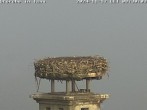 Archived image Webcam Isny – Stork&#39;s nest 07:00