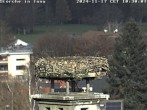 Archived image Webcam Isny – Stork&#39;s nest 09:00