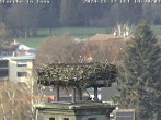 Archived image Webcam Isny – Stork&#39;s nest 13:00