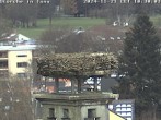 Archiv Foto Webcam Storchennest in Isny 09:00