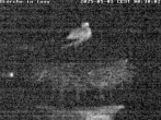 Archived image Webcam Isny – Stork&#39;s nest 23:00
