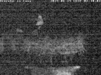 Archiv Foto Webcam Storchennest in Isny 01:00