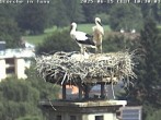 Archiv Foto Webcam Storchennest in Isny 09:00