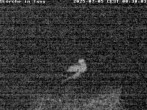 Archived image Webcam Isny – Stork&#39;s nest 23:00