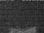 Archived image Webcam Isny – Stork&#39;s nest 01:00