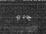 Archived image Webcam Isny – Stork&#39;s nest 23:00