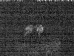 Archived image Webcam Isny – Stork&#39;s nest 01:00