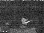 Archiv Foto Webcam Storchennest in Isny 00:00