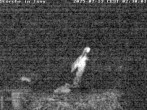 Archiv Foto Webcam Storchennest in Isny 02:00