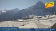 Archived image Webcam Jungfrau Ski Region - Männlichen 08:00
