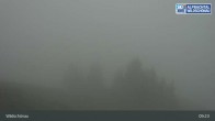 Archived image Webcam Top Station on Schatzberg (Wildschönau) 08:00